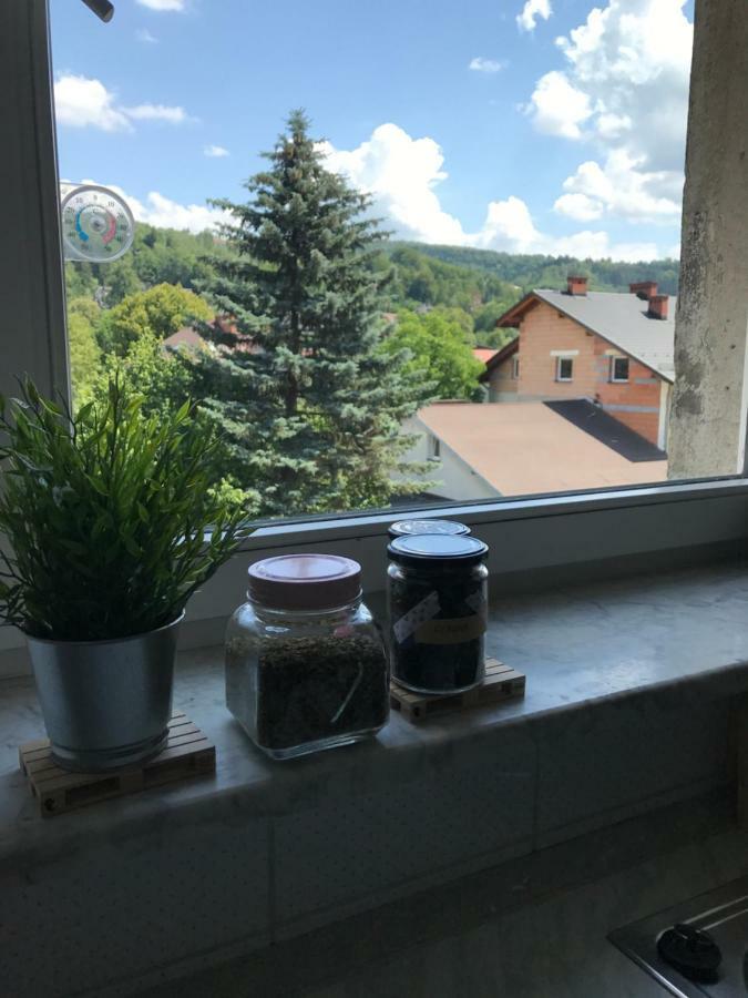 Apartament Przy Rynku Висла Екстериор снимка